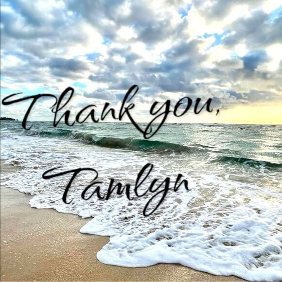 Xhilaration l Bikini, Bathing suit top Top Tie, Hook Back l Black l XS l EUC - Picture 9 of 10